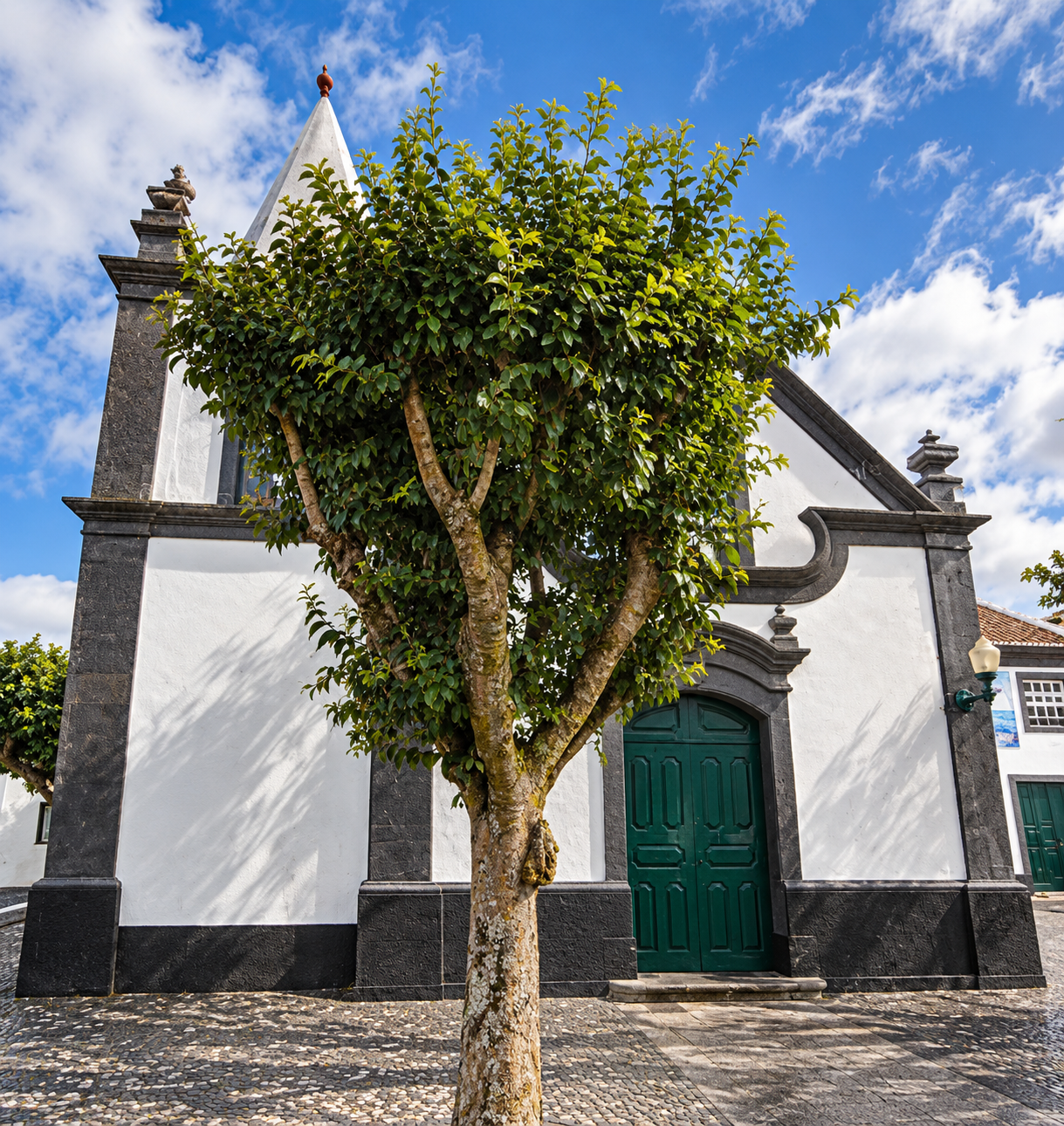Igreja de São Pedro