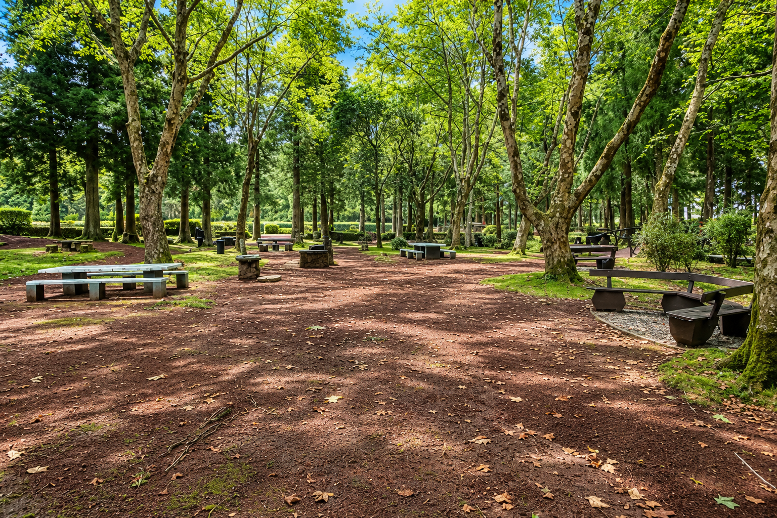 Reserva Florestal de Recreio dos Viveiros