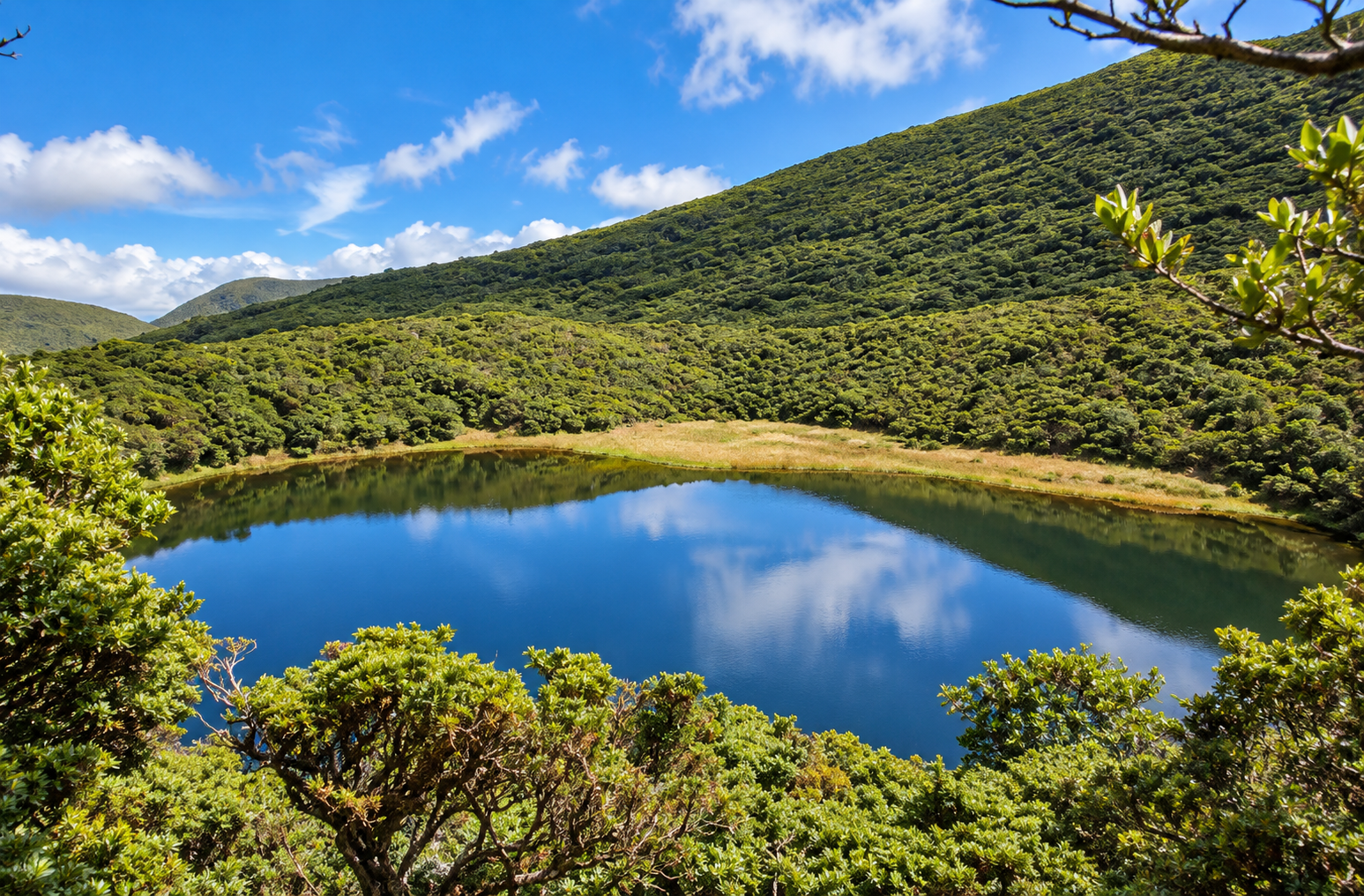 Lagoinha